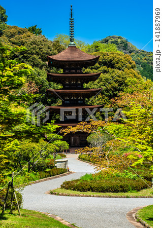 国宝 瑠璃光寺 五重塔【山口県山口市】 国宝 瑠璃光寺 五重塔【山口県山口市】 141887969