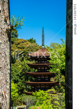 国宝 瑠璃光寺 五重塔【山口県山口市】 国宝 瑠璃光寺 五重塔【山口県山口市】 141887972
