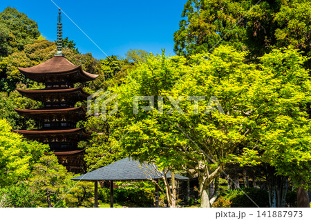 国宝 瑠璃光寺 五重塔【山口県山口市】 国宝 瑠璃光寺 五重塔【山口県山口市】 141887973