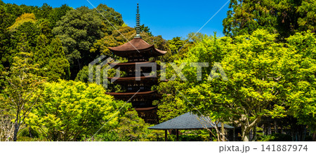 国宝 瑠璃光寺 五重塔 パノラマ【山口県山口市】 国宝 瑠璃光寺 五重塔 パノラマ【山口県山口市】 141887974