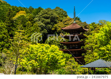 国宝 瑠璃光寺 五重塔【山口県山口市】 国宝 瑠璃光寺 五重塔【山口県山口市】 141887975