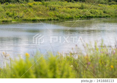 Serene riverbank surrounded by lush greenery on a sunny afternoon inviting nature lovers for a peaceful escape 141888113
