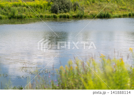 Serene waters reflecting the sky and nature in a peaceful rural setting Serene waters reflecting the sky and nature in a peaceful rural setting 141888114