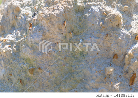 Embracing the beauty of nature's sand formations in a sunlit coastal landscape Embracing the beauty of nature's sand formations in a sunlit coastal landscape 141888115