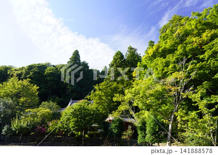 奈良 山添村 神野寺寸景 奈良 山添村 神野寺寸景 141888578