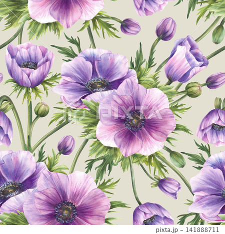 Watercolor purple anemone flowers seamless pattern. Pink buds, green leaves with eucalyptus branches summer print. Floral fabric, wallpaper. Hand painted illustration on isolated coloured background. Watercolor purple anemone flowers seamless pattern. Pink buds, green leaves with eucalyptus branches summer print. Floral fabric, wallpaper. Hand painted illustration on isolated coloured background. 141888711