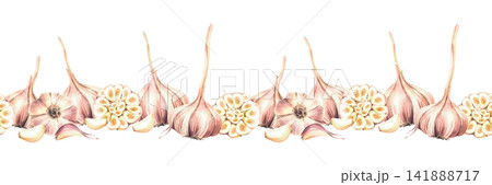 Garlic bulbs, whole and cut with cloves watercolor seamless border. Hand painted botanical illustration. Vegetables, herbs spices for culinary, garden harvest label. Isolated from background pattern. 141888717