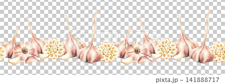 Garlic bulbs, whole and cut with cloves watercolor seamless border. Hand painted botanical illustration. Vegetables, herbs spices for culinary, garden harvest label. Isolated from background pattern. 141888717