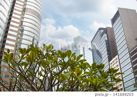 Skyscrapers in Hong Kong downtown, China Skyscrapers in Hong Kong downtown, China 141889203