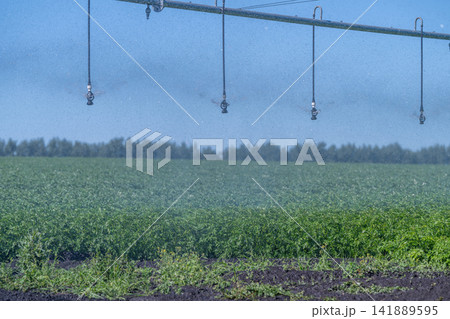 Innovative irrigation system enhances crop growth in lush green fields under a bright blue sky Innovative irrigation system enhances crop growth in lush green fields under a bright blue sky 141889595