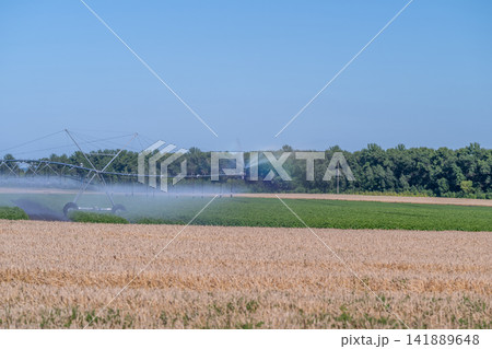 Irrigation system adding life to lush farmland under a bright blue sky in the heart of summer Irrigation system adding life to lush farmland under a bright blue sky in the heart of summer 141889648