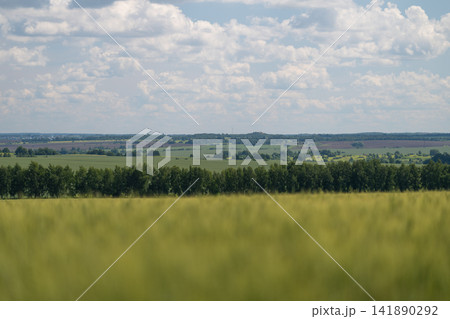 Vibrant countryside landscape bathed in sunlight showcasing lush green fields and distant hills under a beautiful sky 141890292
