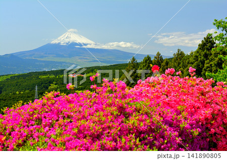 日本100名城・山中城 日本100名城・山中城 141890805
