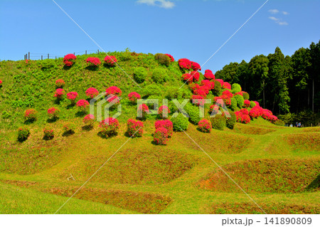 日本100名城・山中城 141890809