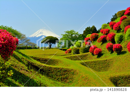 日本100名城・山中城 141890828