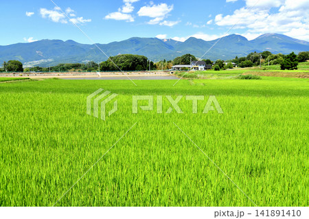 御牧原より浅間山方面を望む(長野県東御市)【2026.8】 御牧原より浅間山方面を望む(長野県東御市)【2026.8】 141891410
