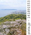満開の桜越しに望む春の街と海 141891553