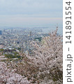 満開の桜越しに望む春の街と海 141891554