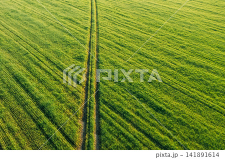 Aerial view of country road through green field rural landscape in summer. Top view of countryside road in summer field rural landscape from high attitude. Natural green field background with trails Aerial view of country road through green field rural landscape in summer. Top view of countryside road in summer field rural landscape from high attitude. Natural green field background with trails 141891614