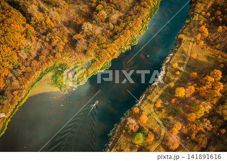 Aerial view of yellow forest woods and river marsh bog in autumn landscape. Bird's eye view of marsh bog. Top view of beautiful european nature from high attitude in autumn season. Drone view 141891616