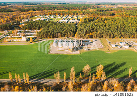 Aerial view modern granary, grain-drying complex, commercial grain or seed silos in sunny autumn rural landscape. Corn dryer silos, inland grain terminal, grain elevators standing in a field Aerial view modern granary, grain-drying complex, commercial grain or seed silos in sunny autumn rural landscape. Corn dryer silos, inland grain terminal, grain elevators standing in a field 141891622