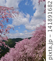 満開のしだれ桜と新緑の山々 141891682