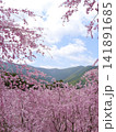 満開のしだれ桜と新緑の山々 141891685