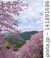 満開のしだれ桜と新緑の山々 141891686