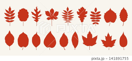 Autumn foliage silhouette leaf set with maple and oak tree elements 141891755