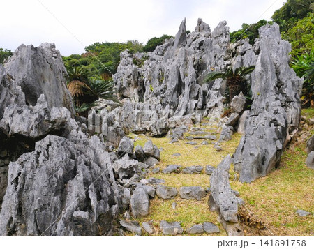 大石林山の自然 尖がった岩の風景 (沖縄県・やんばる) 大石林山の自然 尖がった岩の風景 (沖縄県・やんばる) 141891758