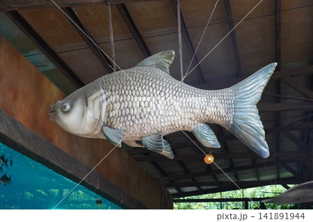 Large hanging carp model at an educational exhibit Large hanging carp model at an educational exhibit 141891944