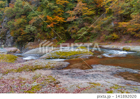 秋の吹割の滝下流(群馬県沼田市) 秋の吹割の滝下流(群馬県沼田市) 141892020