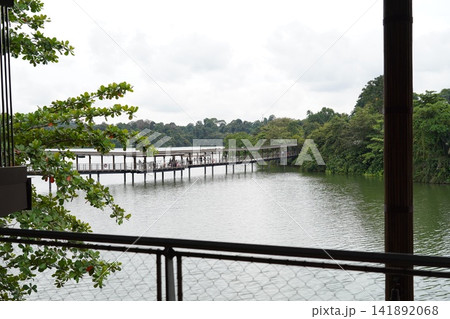 Scenic Reservoir Boardwalk and Tropical Almond Trees Scenic Reservoir Boardwalk and Tropical Almond Trees 141892068