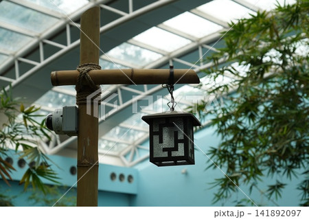 Modern atrium features bamboo and an elegant lantern Modern atrium features bamboo and an elegant lantern 141892097