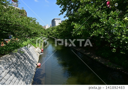 富山市役所近辺の松川(旧神通川)の風景 富山市役所近辺の松川(旧神通川)の風景 141892483
