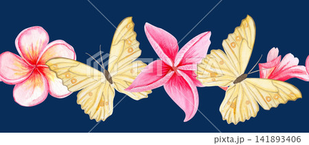 Yellow butterflies, pink tropical plumeria flowers seamless watercolor border on dark blue. Hand-painted perfect for summer invitations, exotic packaging design, textile, seasonal decorative projects Yellow butterflies, pink tropical plumeria flowers seamless watercolor border on dark blue. Hand-painted perfect for summer invitations, exotic packaging design, textile, seasonal decorative projects 141893406