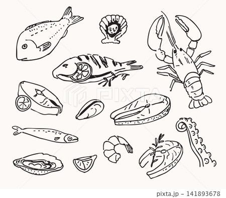 Hand-drawn seafood collection with fish, lobster, shrimp, oyster, mussel, octopus tentacle, and salmon steak Hand-drawn seafood collection with fish, lobster, shrimp, oyster, mussel, octopus tentacle, and salmon steak 141893678