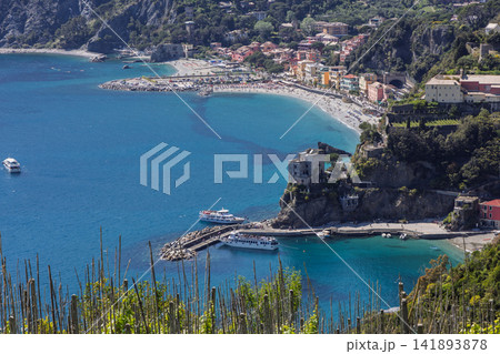 Liguria vineyard near Monterosso al Mare, Italy, in high compressed perspective on the vines Liguria vineyard near Monterosso al Mare, Italy, in high compressed perspective on the vines 141893878