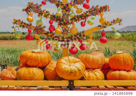 Colorful decorative tree adorned with painted gourds and flowers set above large orange pumpkins at countryside farm market during autumn harvest festival Colorful decorative tree adorned with painted gourds and flowers set above large orange pumpkins at countryside farm market during autumn harvest festival 141893899
