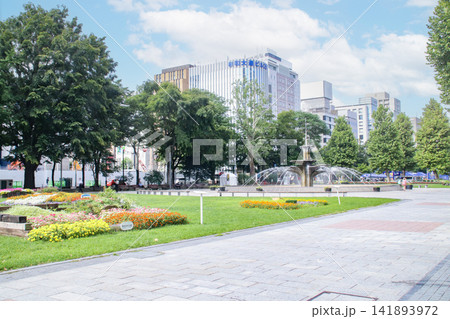 大通り公園/北海道札幌市中央区大通西3丁目 大通り公園/北海道札幌市中央区大通西3丁目 141893972