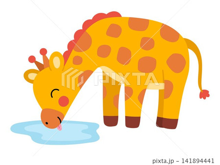 Vector cartoon giraffe drinking water isolated on white background. Funny African or safari animal clipart. Cute savannah icon for kids. Flat savanna element. Africa wildlife illustration Vector cartoon giraffe drinking water isolated on white background. Funny African or safari animal clipart. Cute savannah icon for kids. Flat savanna element. Africa wildlife illustration 141894441