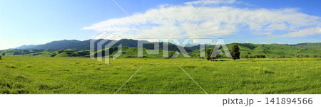 Green Meadow Panorama with Rolling Hills and Blue Sky 141894566