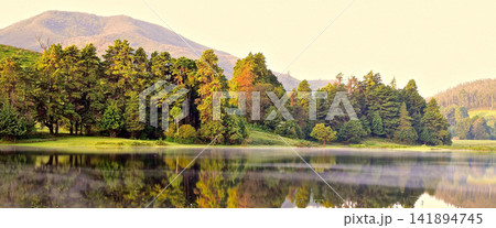 Mountain Lake Forest Reflection in Warm Morning Light 141894745