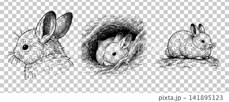 A set of pen-and-ink illustrations of rabbits (gazing, hiding, resting) A set of pen-and-ink illustrations of rabbits (gazing, hiding, resting) 141895123