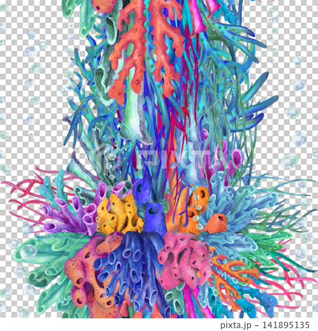 Seamless watercolor pattern with vertical tropical coral reef arrangements and colorful marine plants. Hand painted ocean design for textiles, wallpaper, wrapping paper and coastal decor. Seamless watercolor pattern with vertical tropical coral reef arrangements and colorful marine plants. Hand painted ocean design for textiles, wallpaper, wrapping paper and coastal decor. 141895135