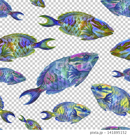 Seamless watercolor pattern with colorful tropical parrotfish on bright backgrounds. Hand painted marine design for fabric, wallpaper, wrapping paper, packaging and summer decor. Seamless watercolor pattern with colorful tropical parrotfish on bright backgrounds. Hand painted marine design for fabric, wallpaper, wrapping paper, packaging and summer decor. 141895152