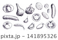 Vegetable set of tomatoes, garlic, onion and cucumber slices, a hand drawn Isolated graphite pencil sketch. Monochrome culinary graphic element for organic food packaging, recipe design, interior art. 141895326