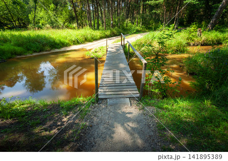 A small bridge over the Mala Panew River A small bridge over the Mala Panew River 141895389