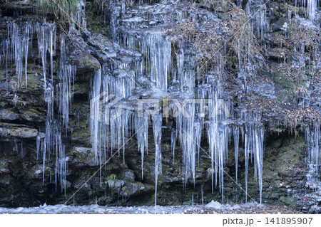 三十槌の氷柱 三十槌の氷柱 141895907