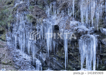 三十槌の氷柱 三十槌の氷柱 141895909